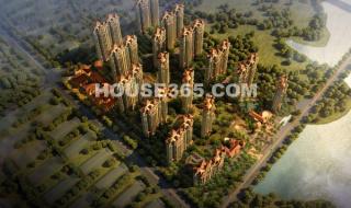 芜湖鸠江区 芜湖鸠江区