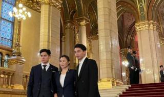 匈牙利刘少林刘少昂 匈牙利刘少林刘少昂